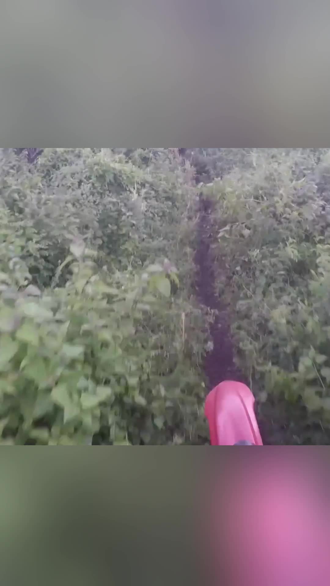 @user37703377025713