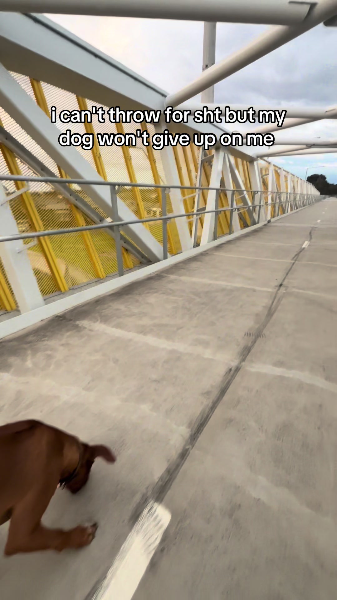 @runningwithrover