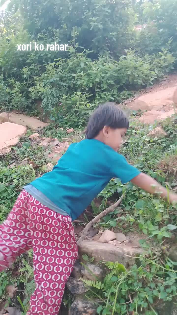 @radha shahi