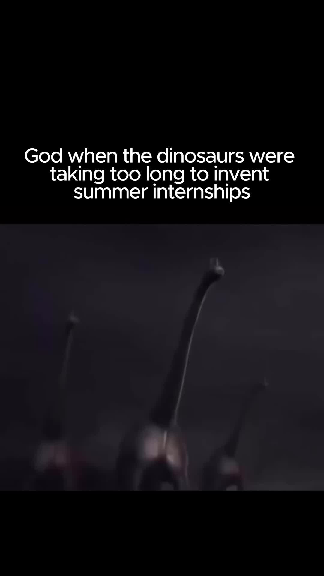 @Finance Bro