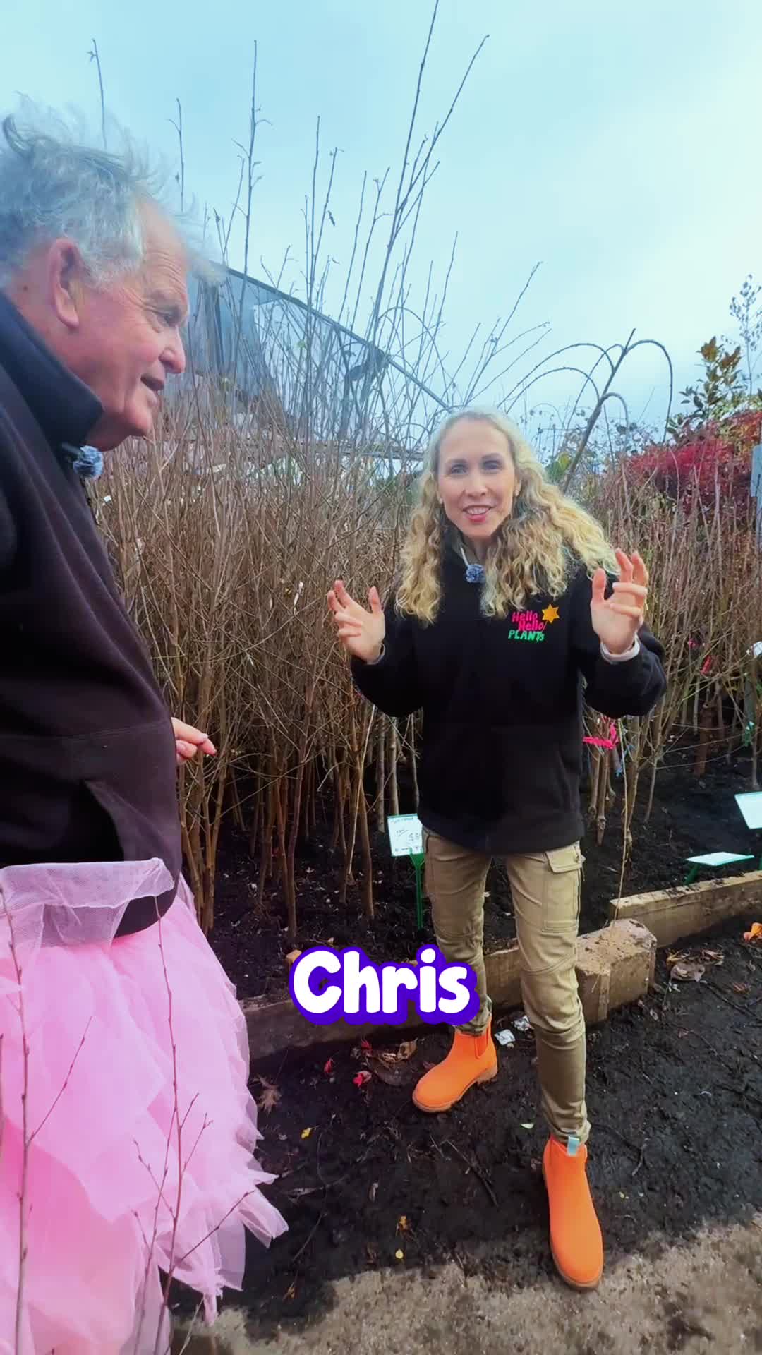 @Hello Hello Plants Nursery