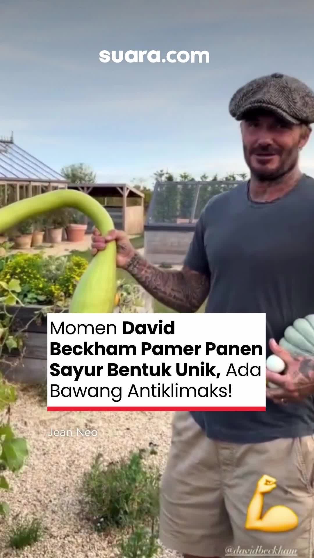 @Suaradotcom