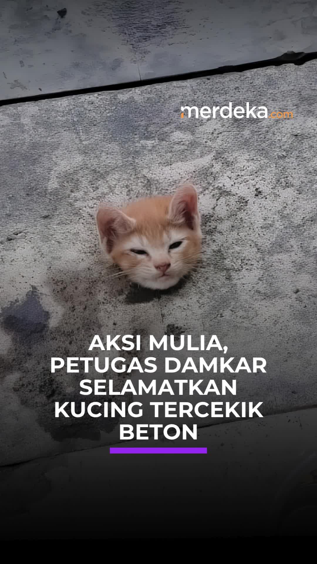 @merdekacom