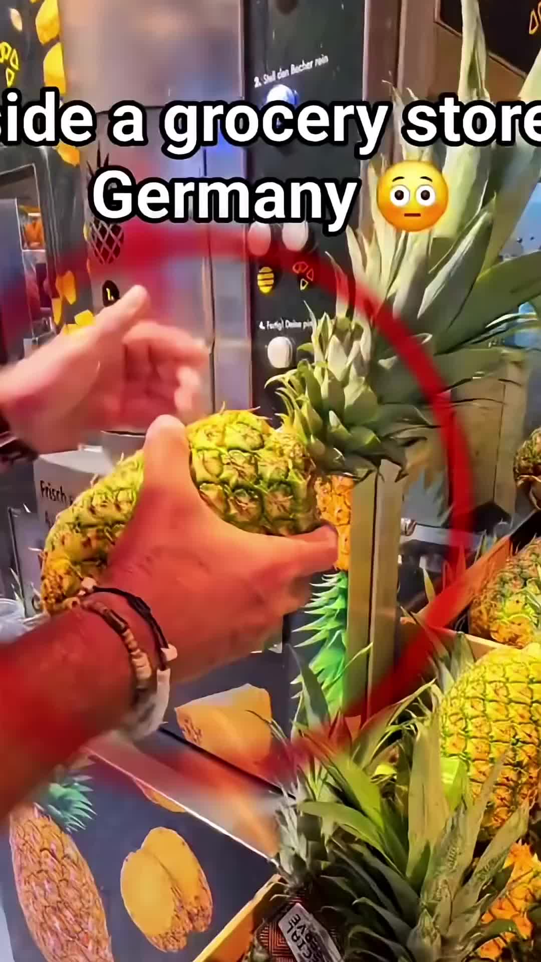 @user78782936093286