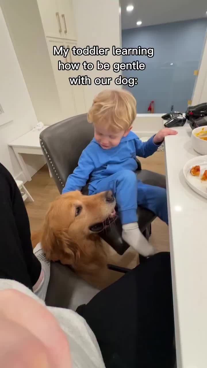 @Dev | mom + dog mom