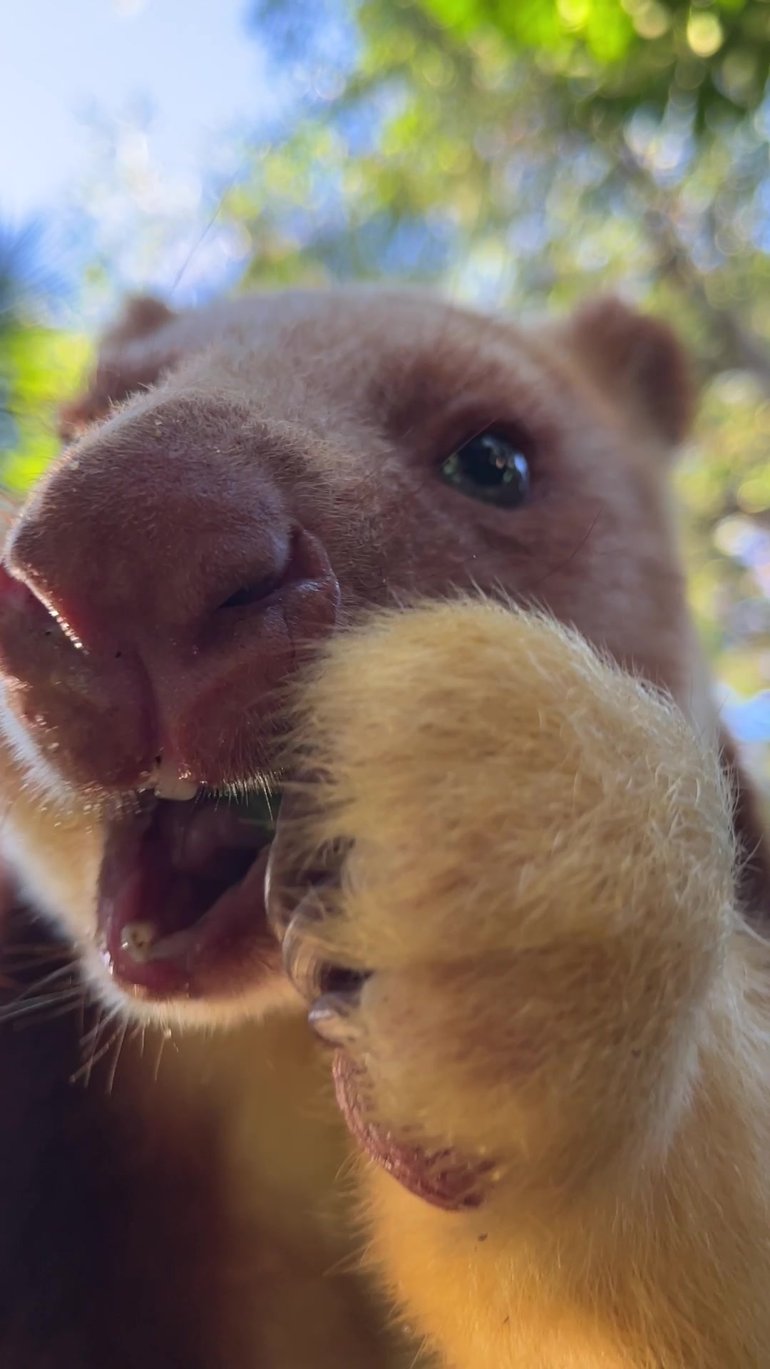 @Perth Zoo