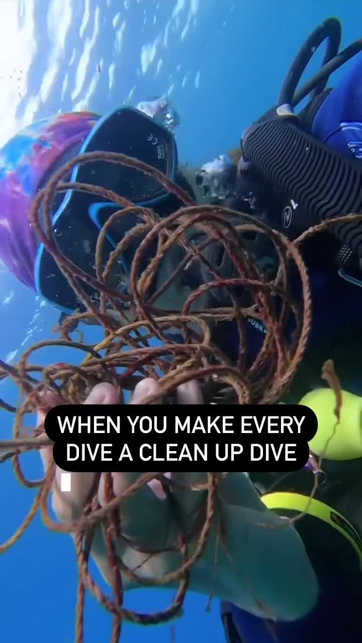 @Scuba Diving with Ara