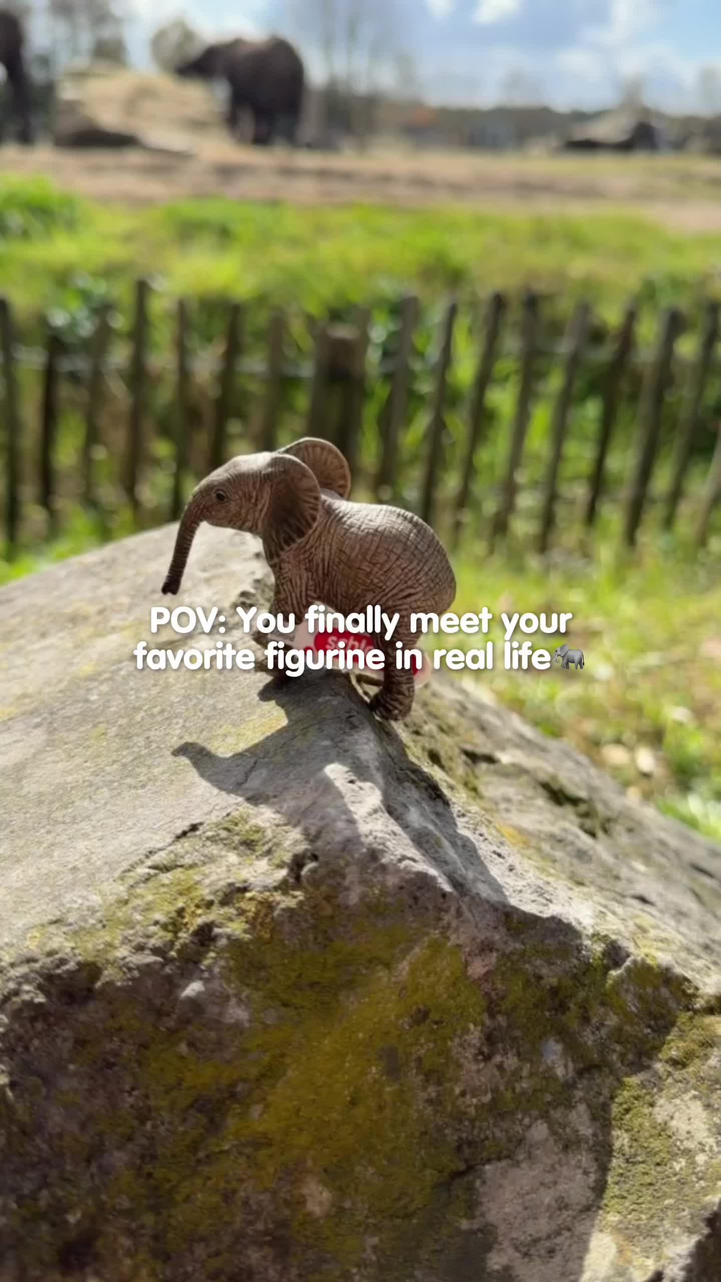 @Schleich Shop