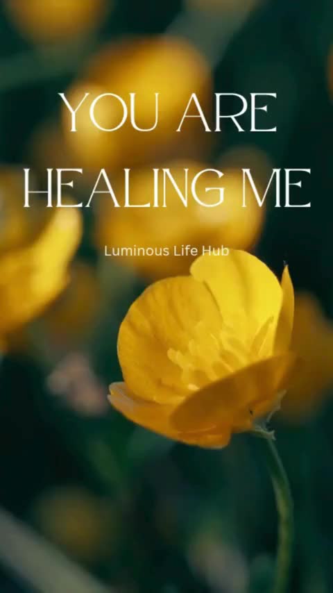 @Luminous Life Hub