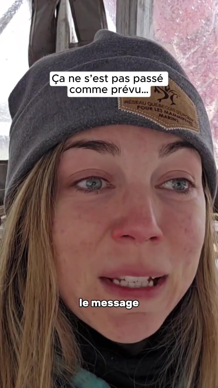 @biolovik