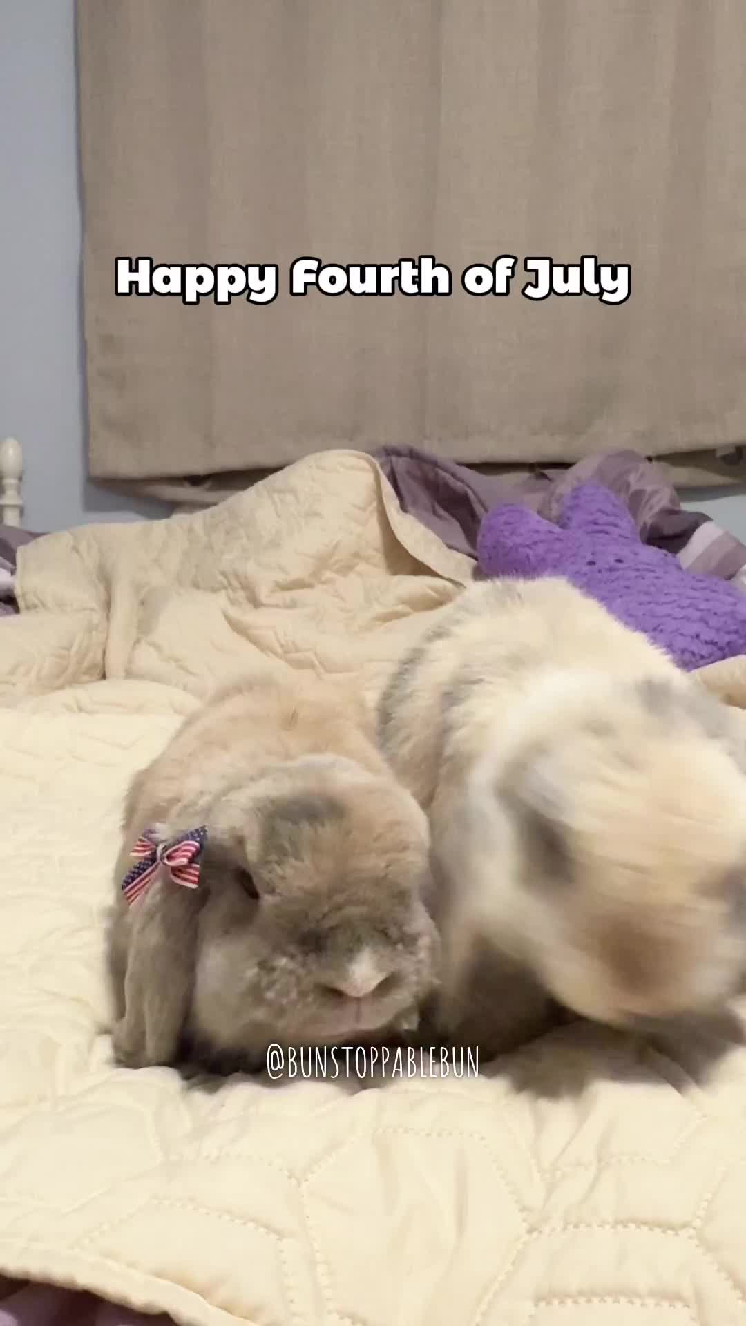 @BunBun, Mochi🌈, Chewy