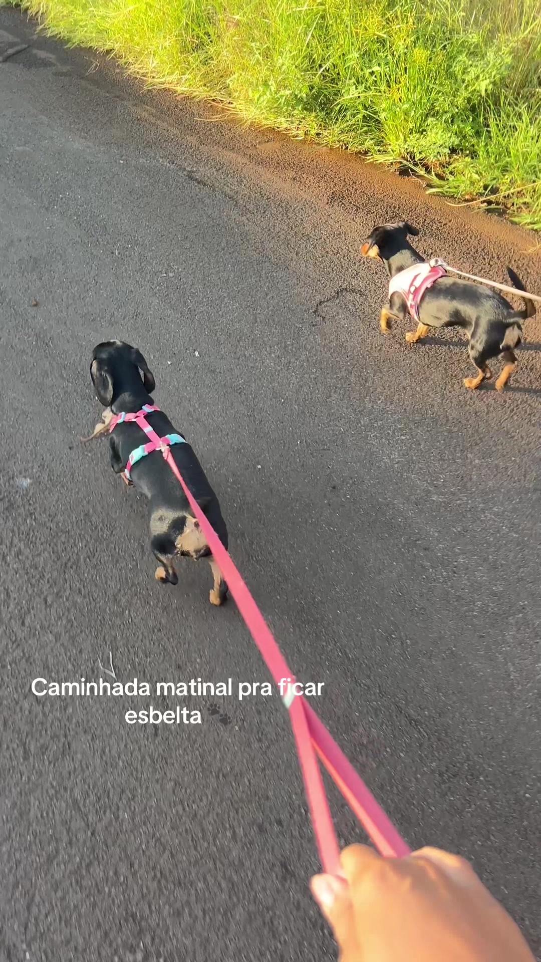 @Gabriela Nascimento