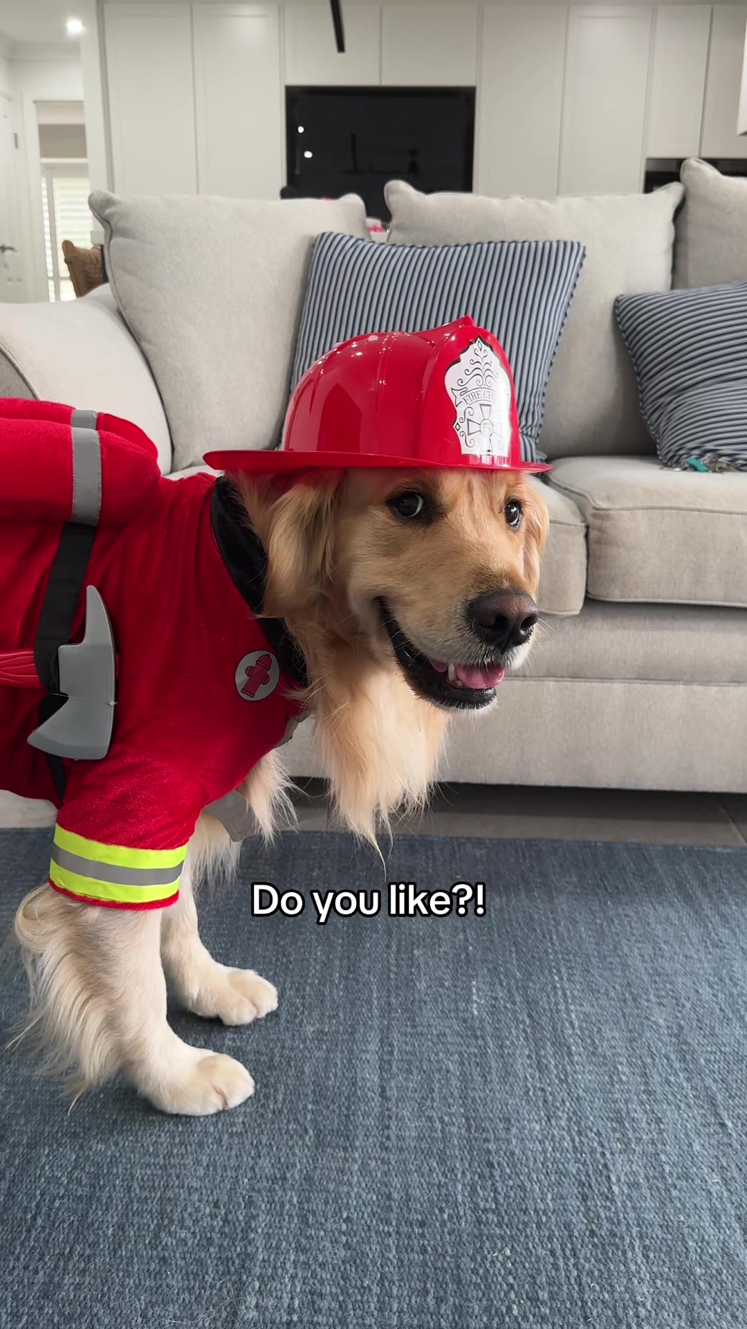 @lunas_golden_life