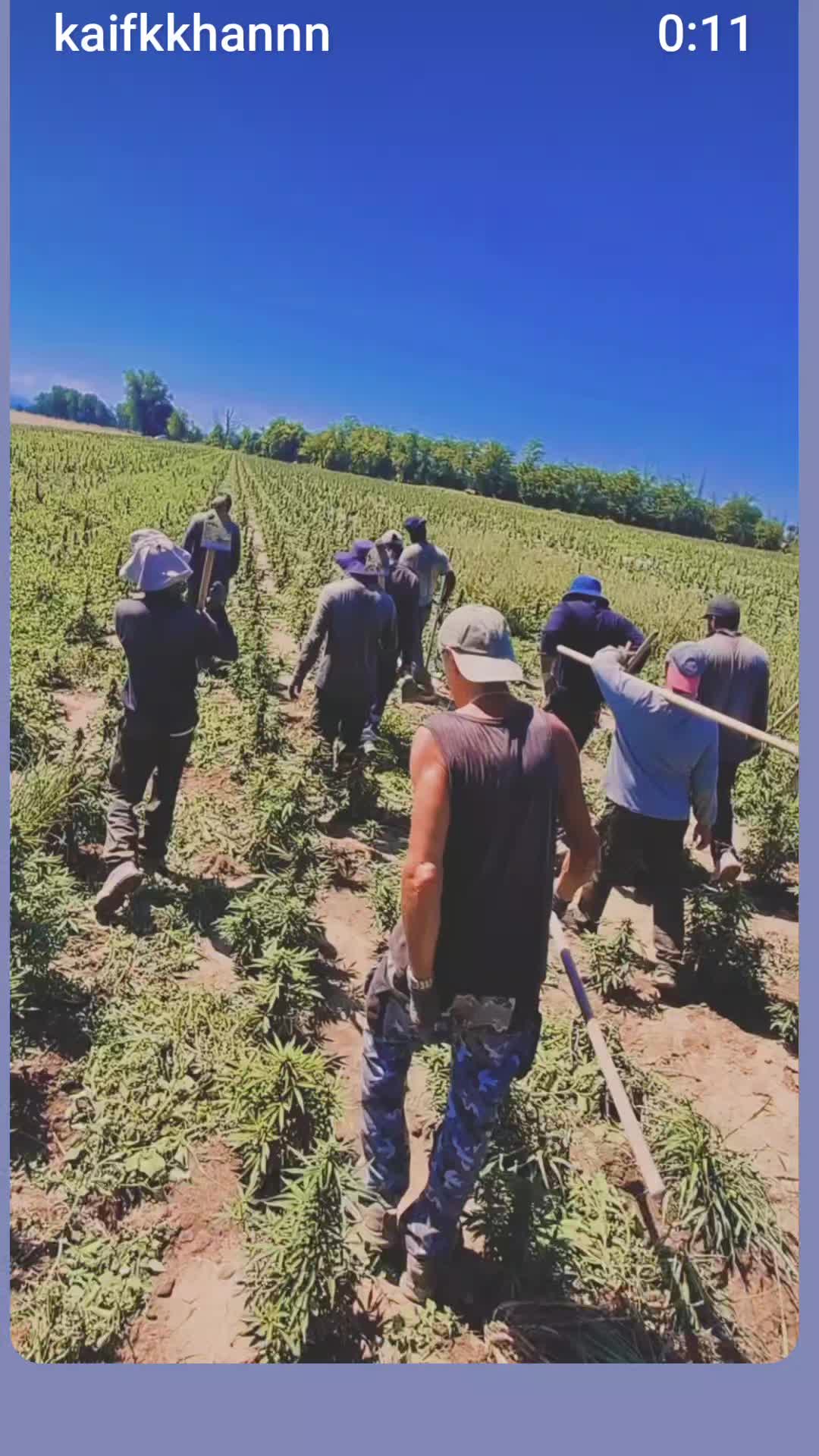 @S U L T么N🇮🇹🇮🇳