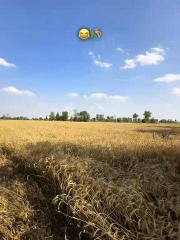 @Noman Ali😎