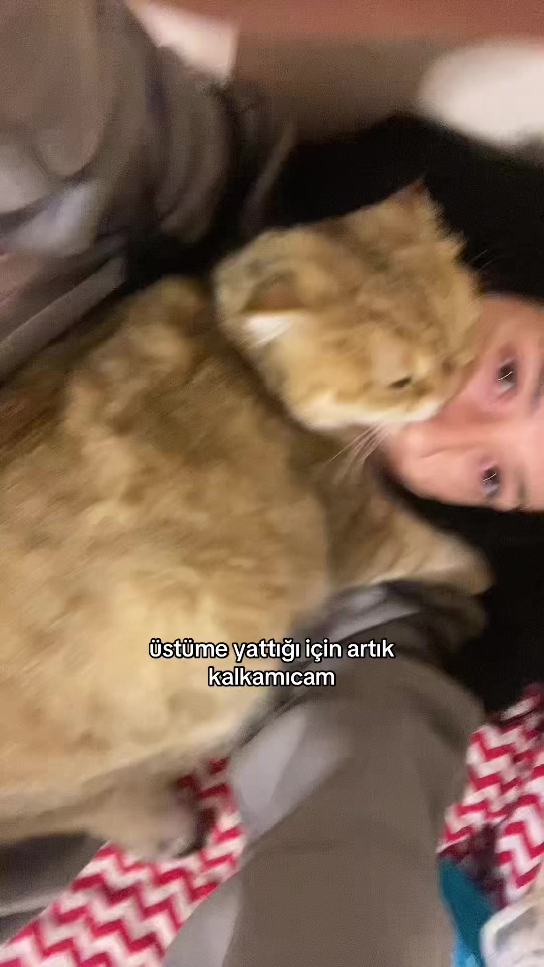@𝓜𝓮𝓻𝓿𝓮🦢