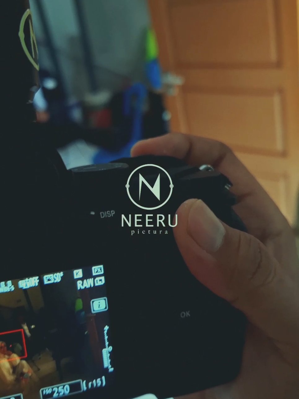 @Neeru Pictura