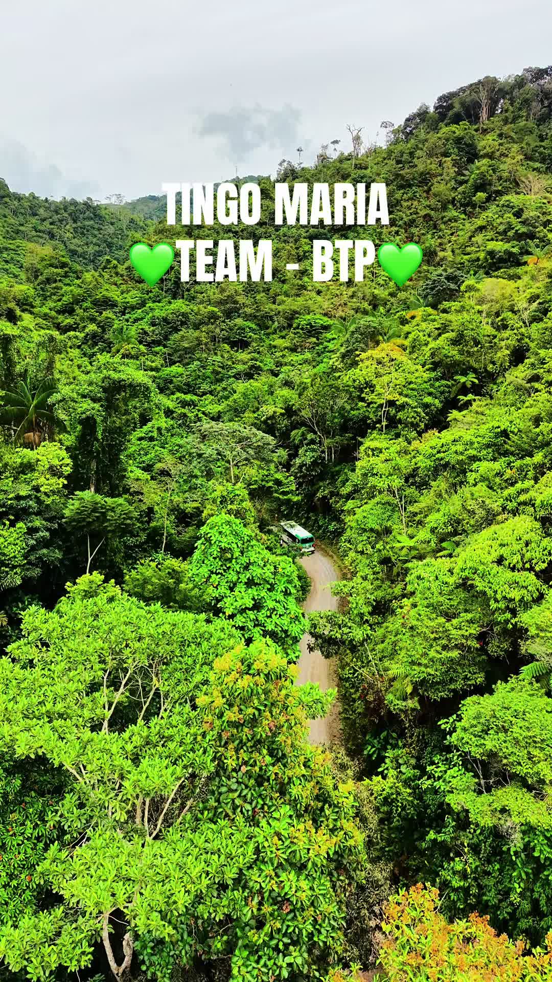 @Best Trip Per&uacute; Oficial