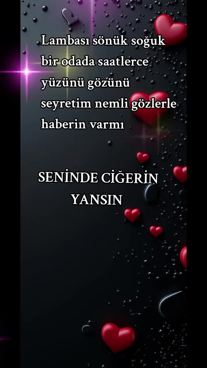 @๐น๐ท. YALINIZ ADAM ๐น๐ท