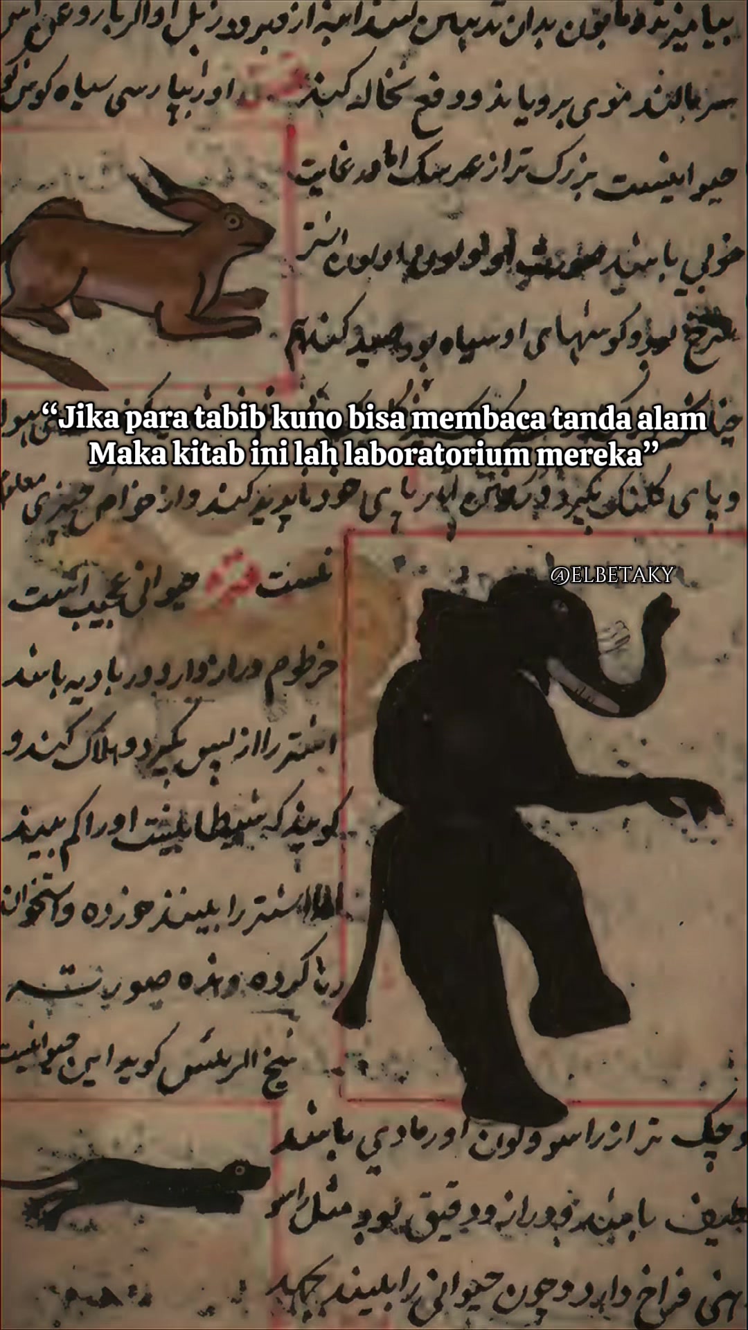 @elbetaky
