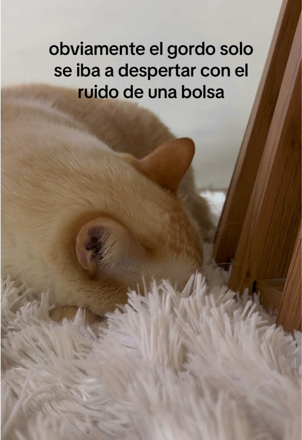 @Marcos Morales