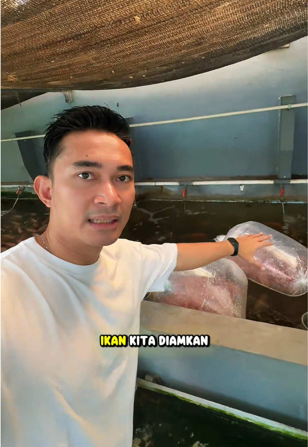 @NilaKu ID