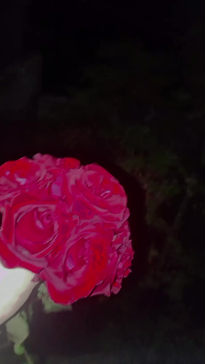 @هديل سلامة