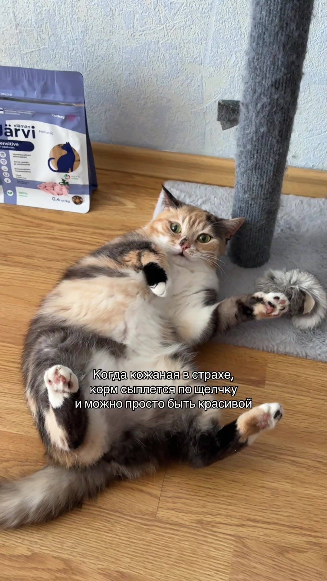 @Chloe 𝜗𝜚 Freya
