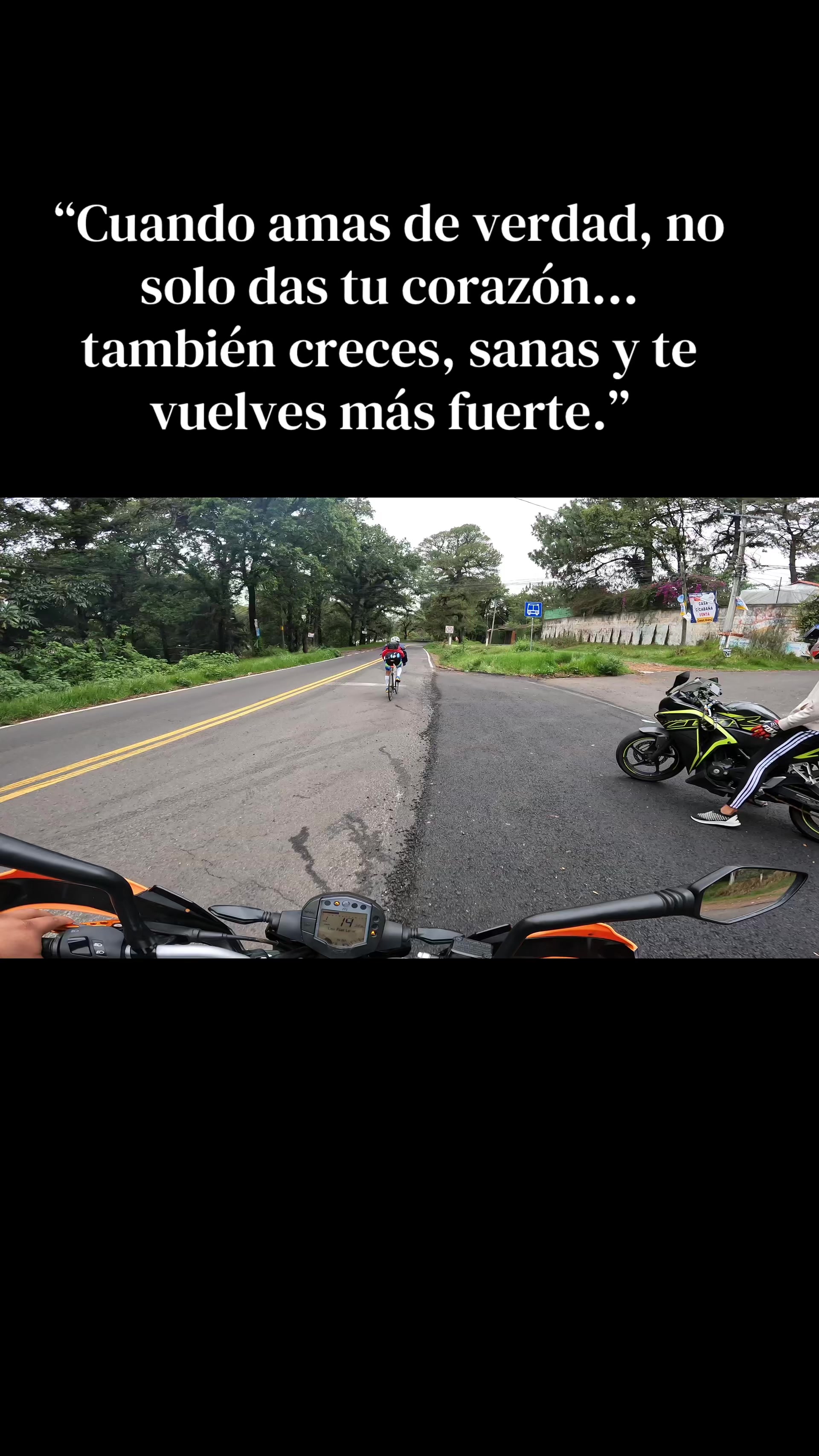 @Wicho González JR🔥