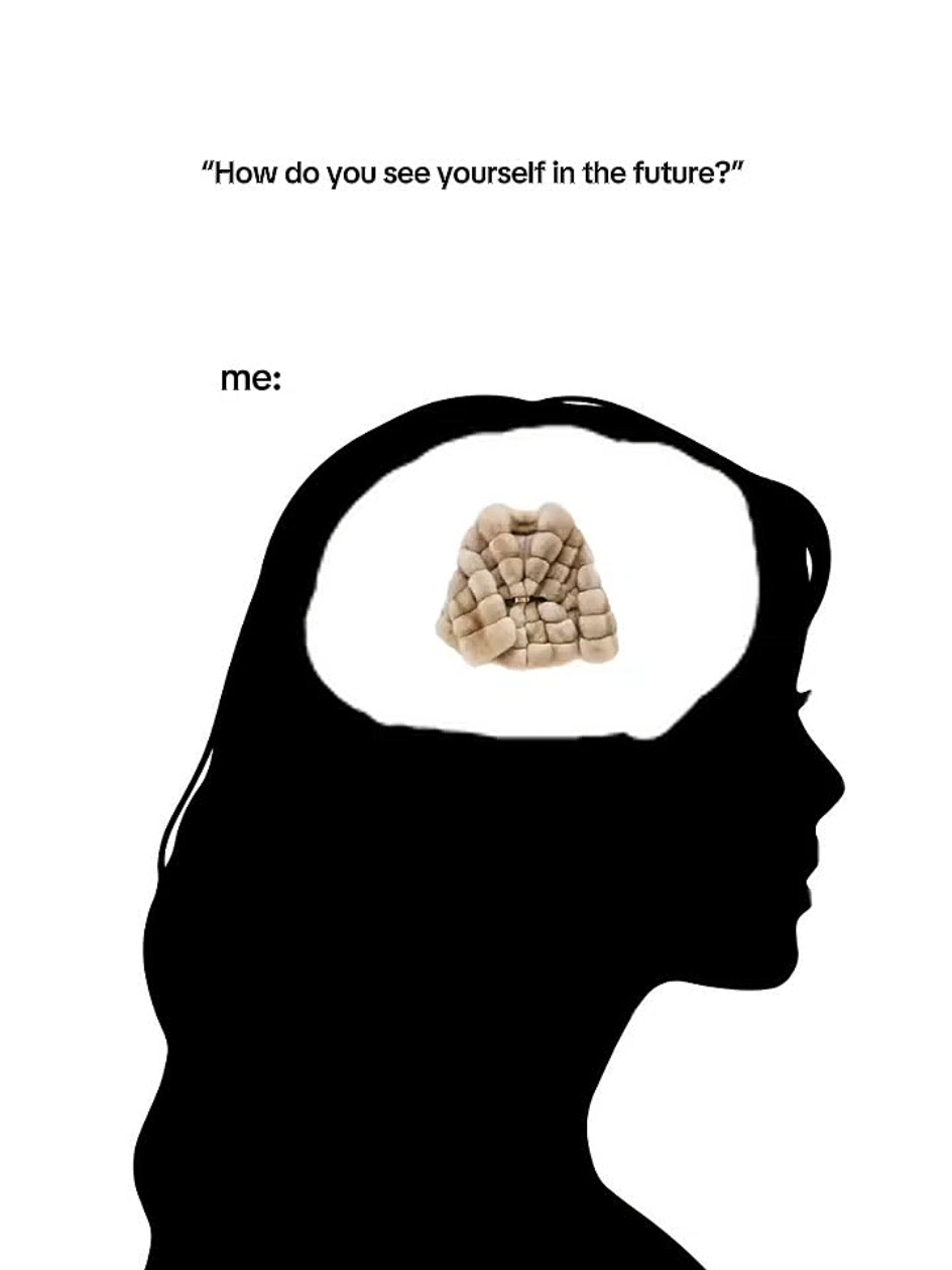 @🐚