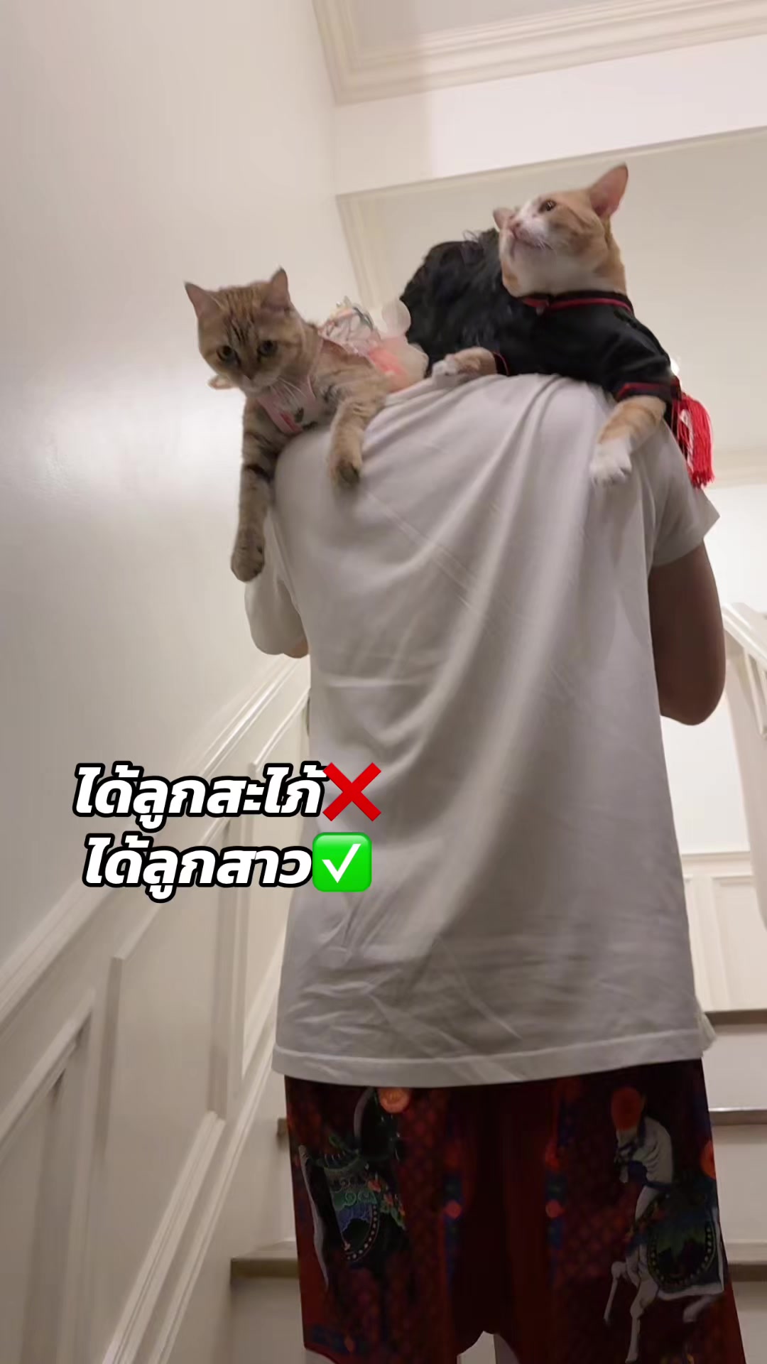 @เกรท 97 💚✨
