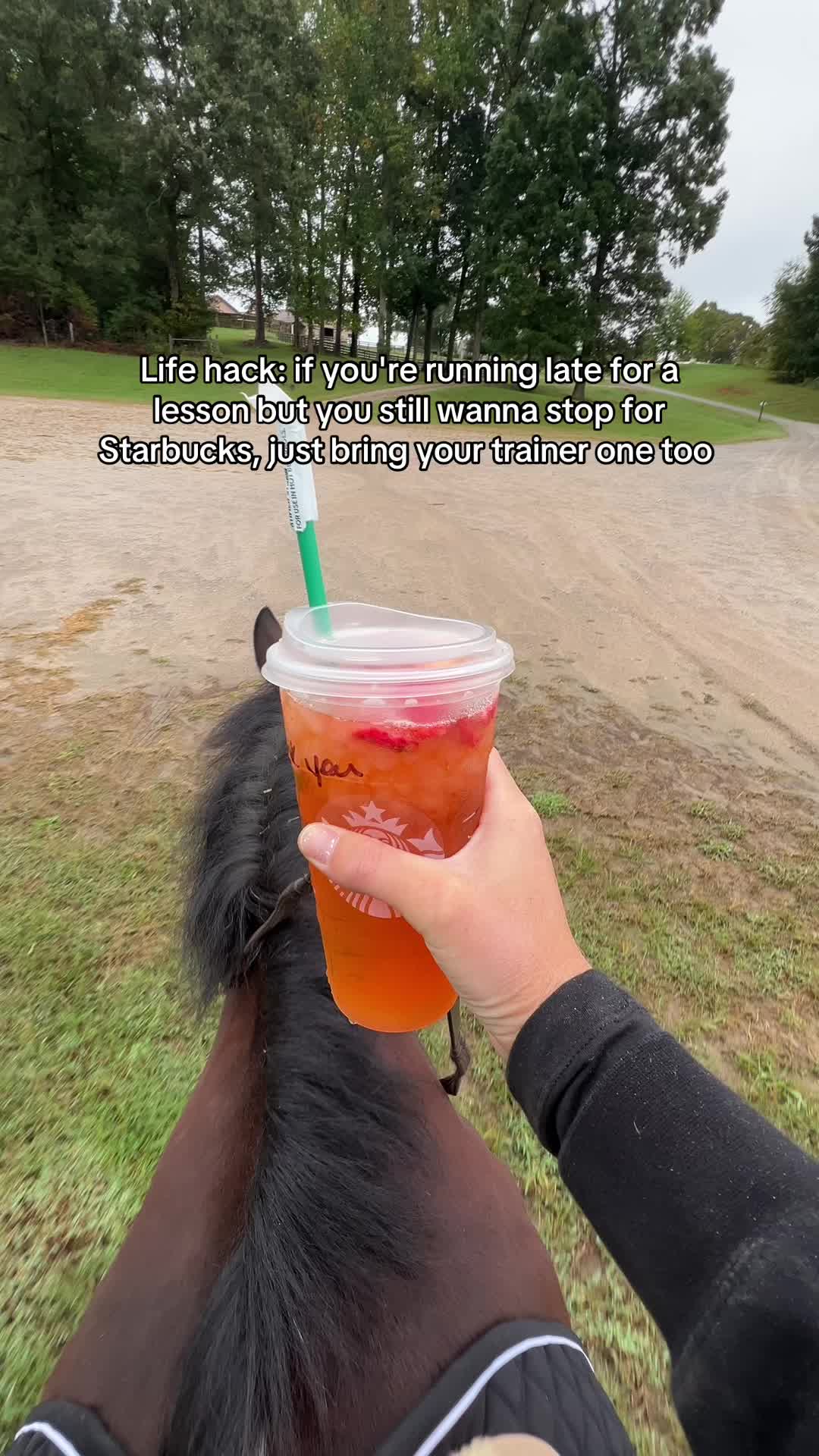 @Free Ride Equestrian