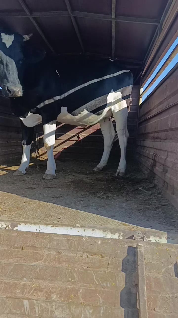 @Mehmet atılgan