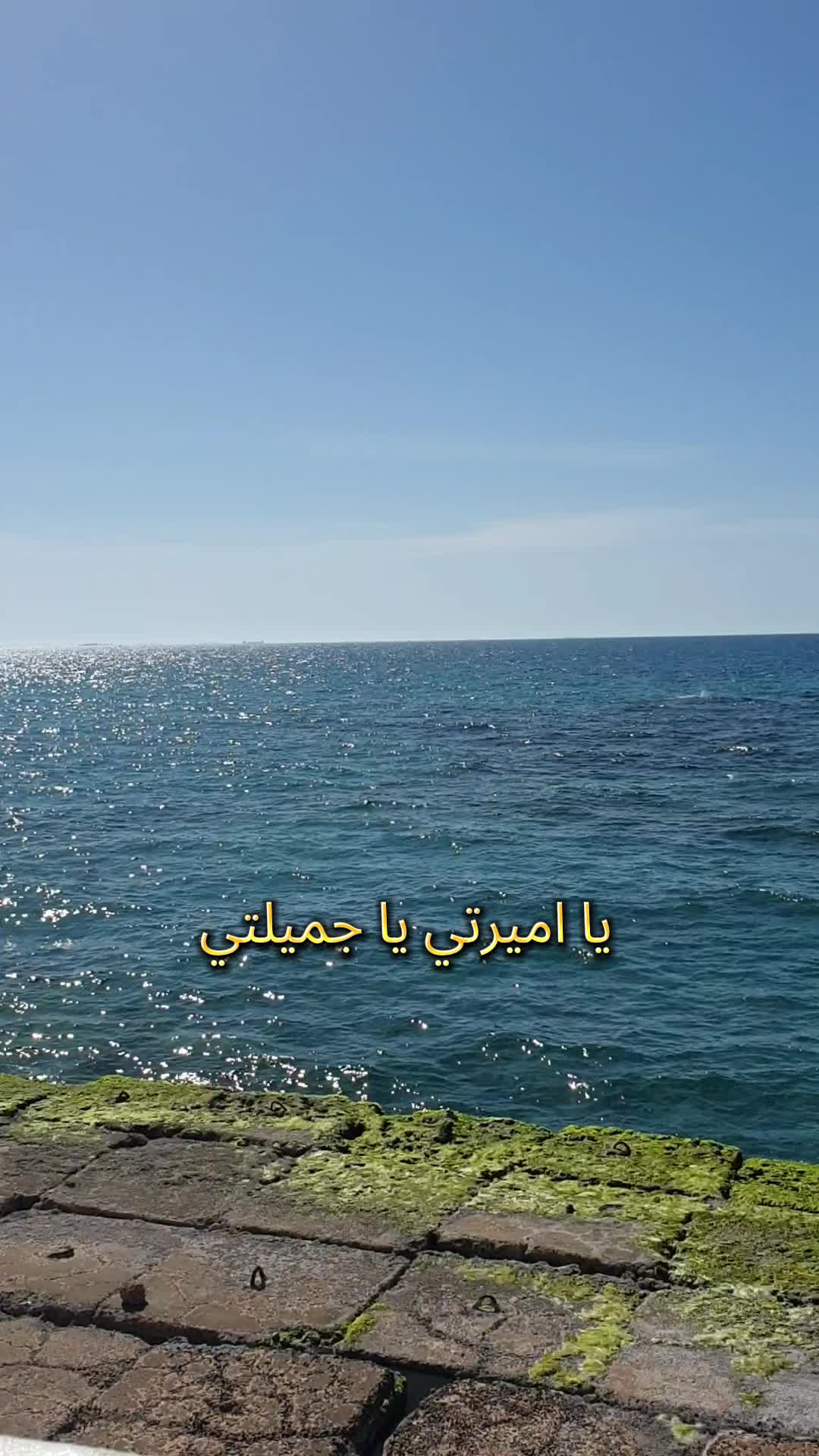 @غاويه فن