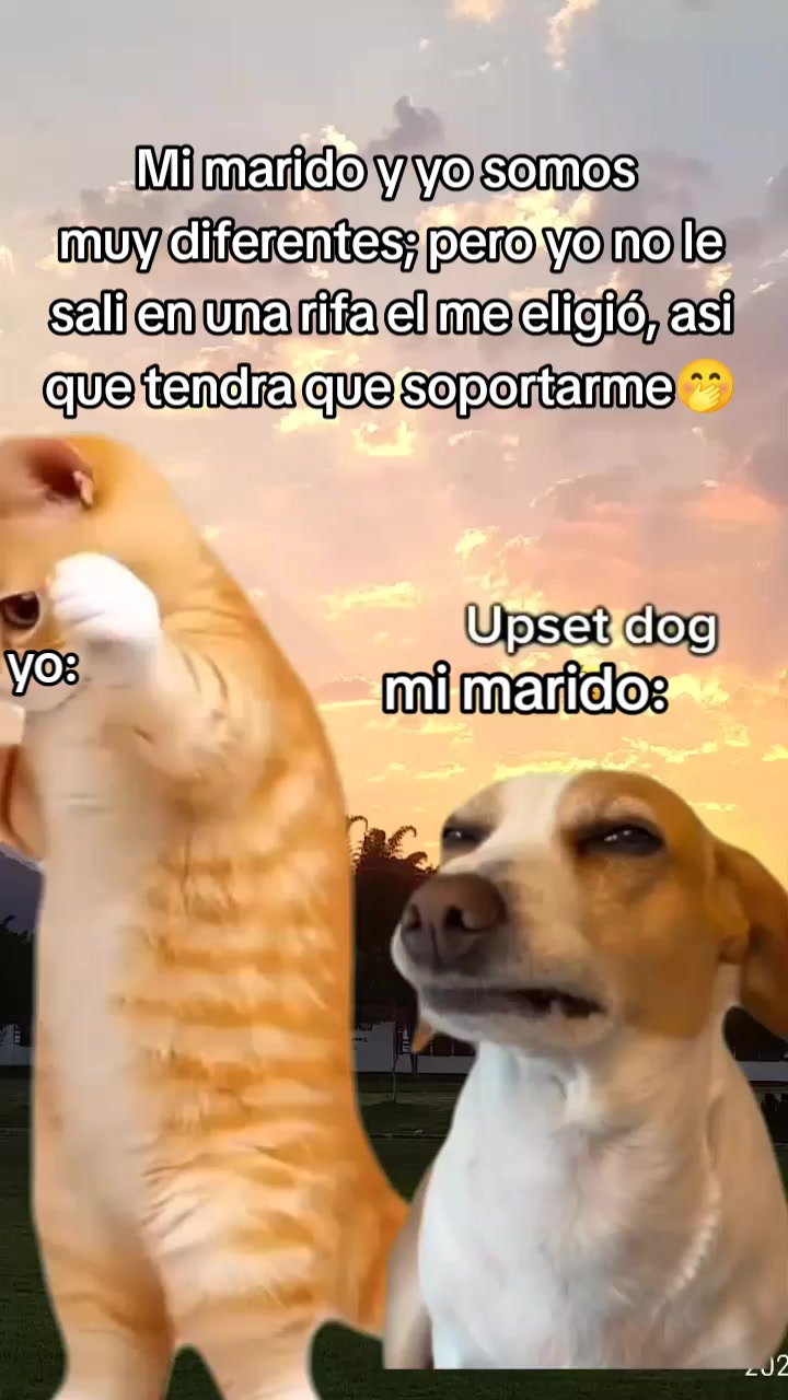 @Patricia Loza