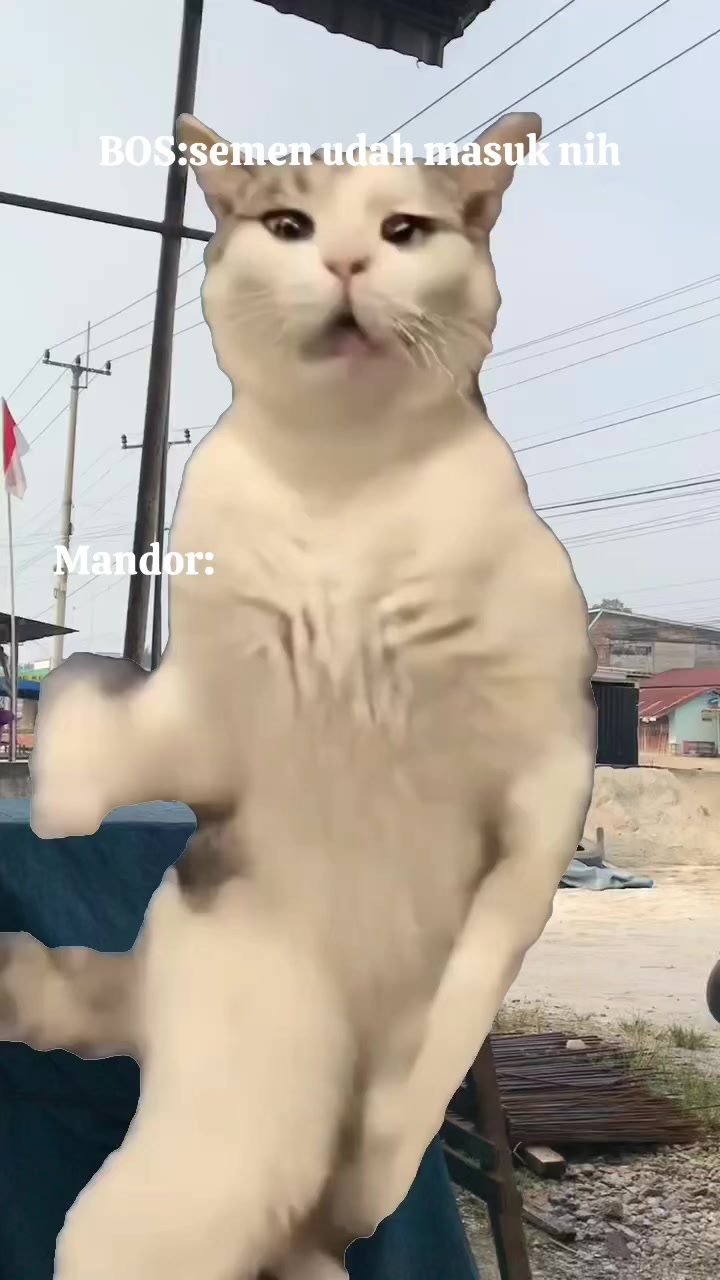 @∂αякиєѕѕ༆