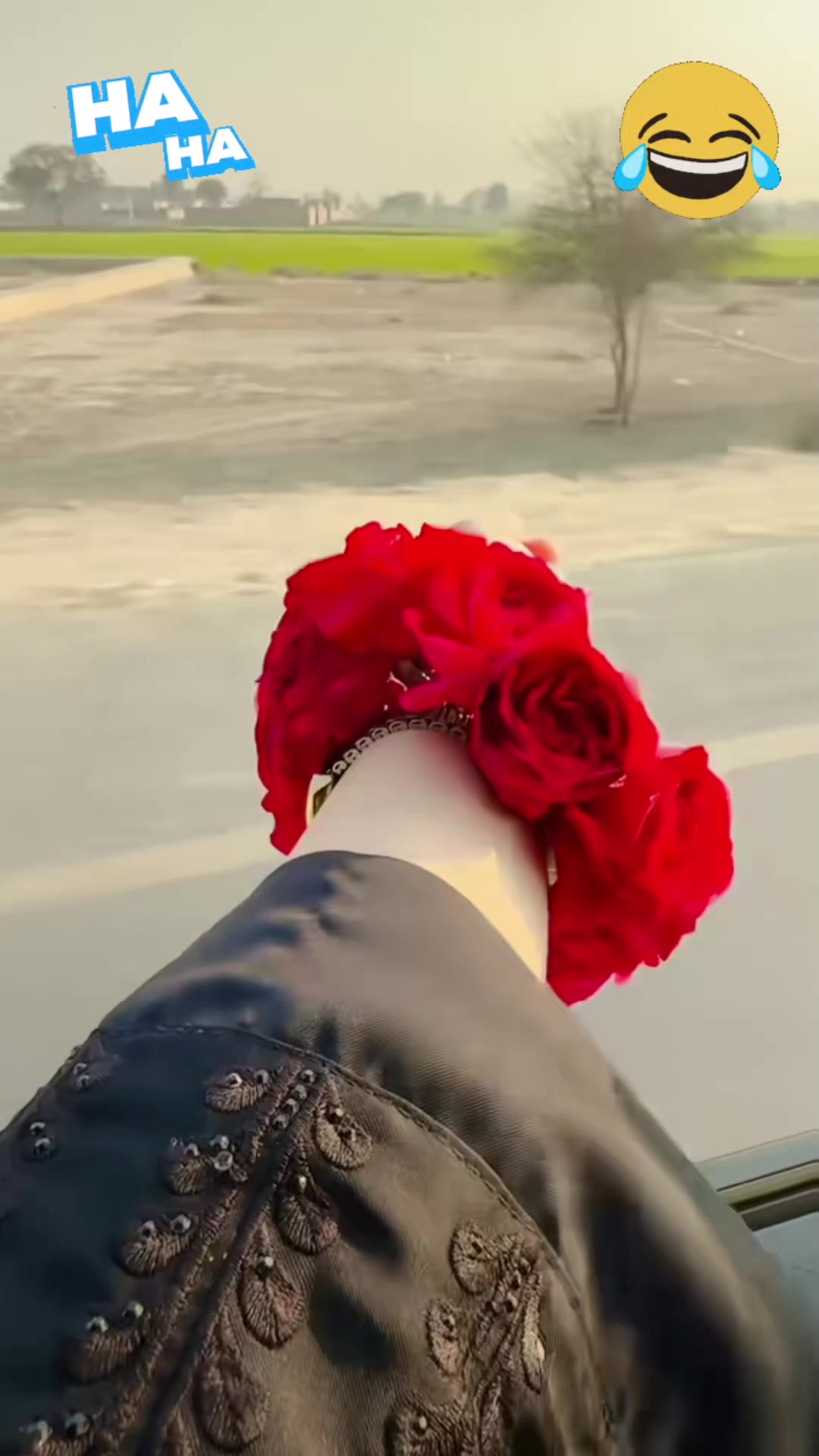 @༆⃝♥︎♤انت الحیات♤༆⃝R