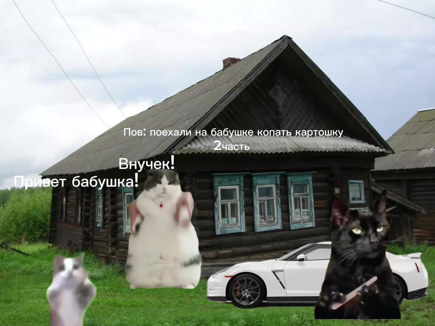 @Milkis🥛