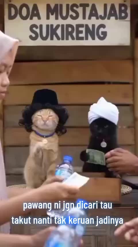 @عالم ميستري