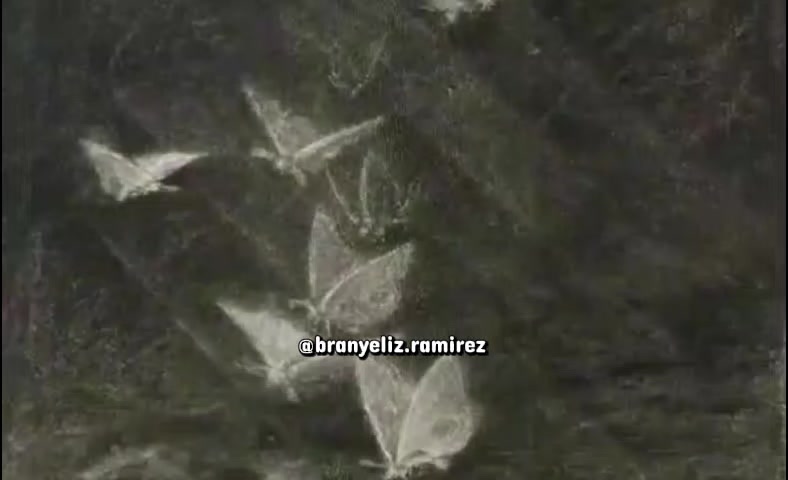 @⋆Branyeliz⋆