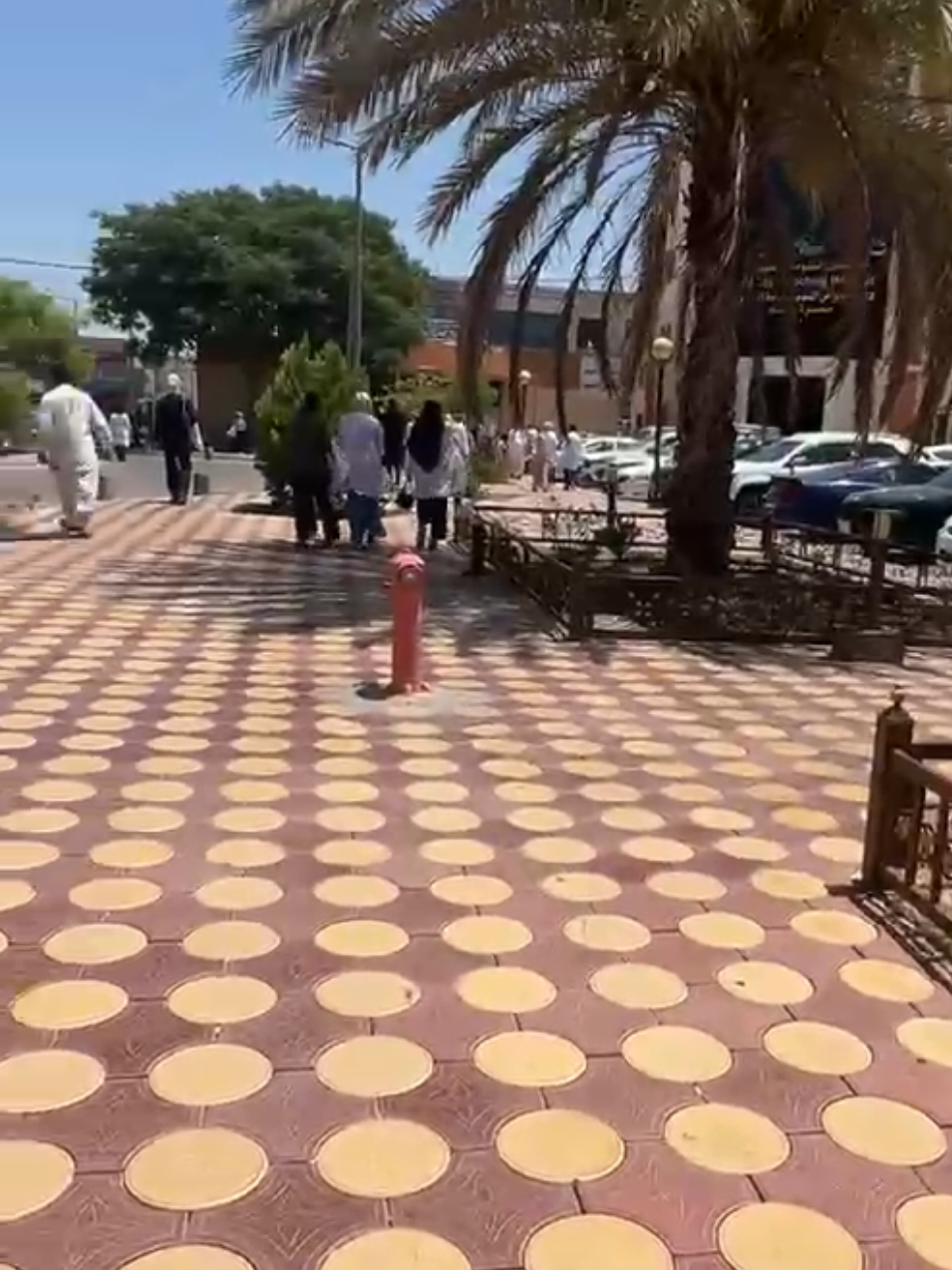 @آيــــة الـقـيـســــي