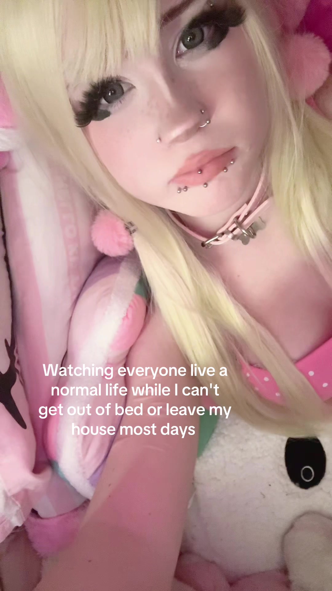 @🐰