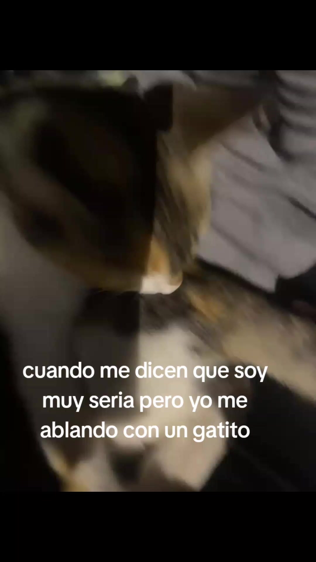 @🍸