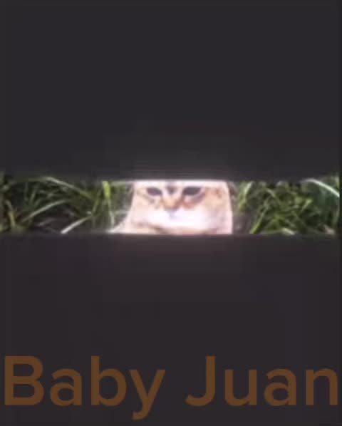 @babyjuanrip1