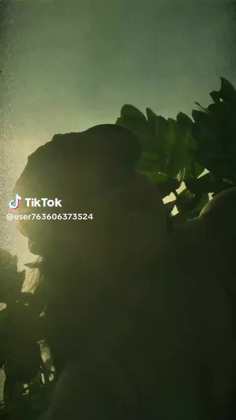 @user6586247029615