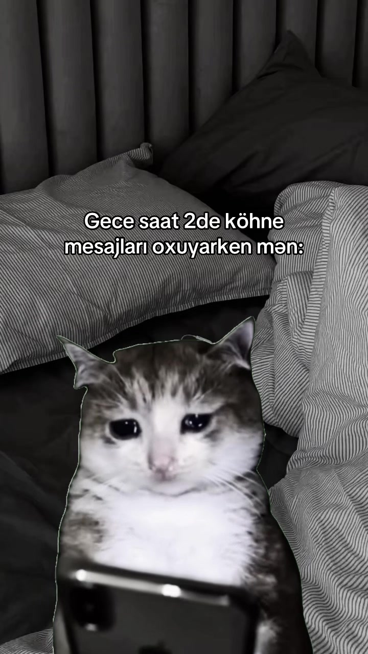 @𝐓.𝐀ྀིྀི
