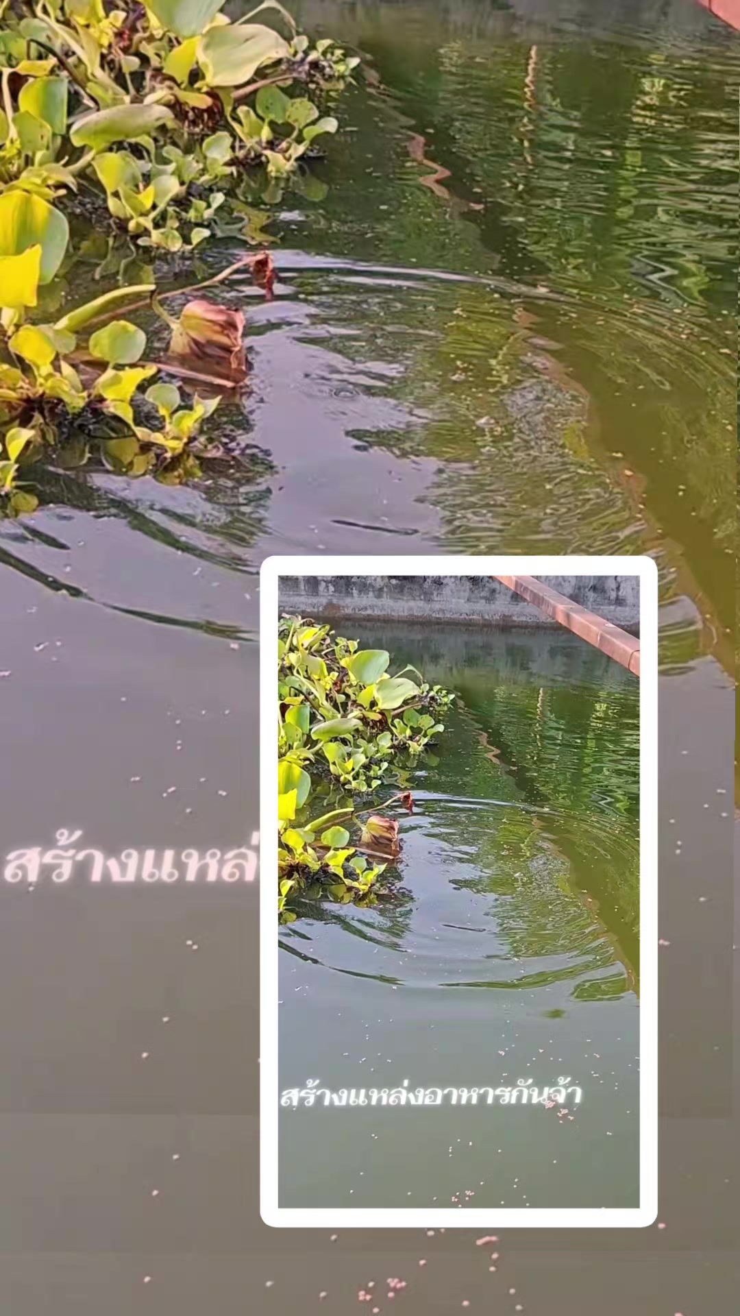 @บกบก 769
