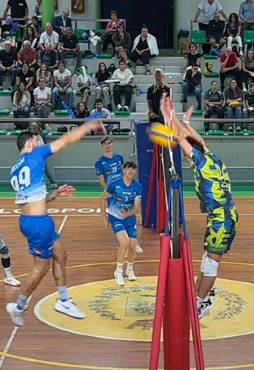 @trentinovolley