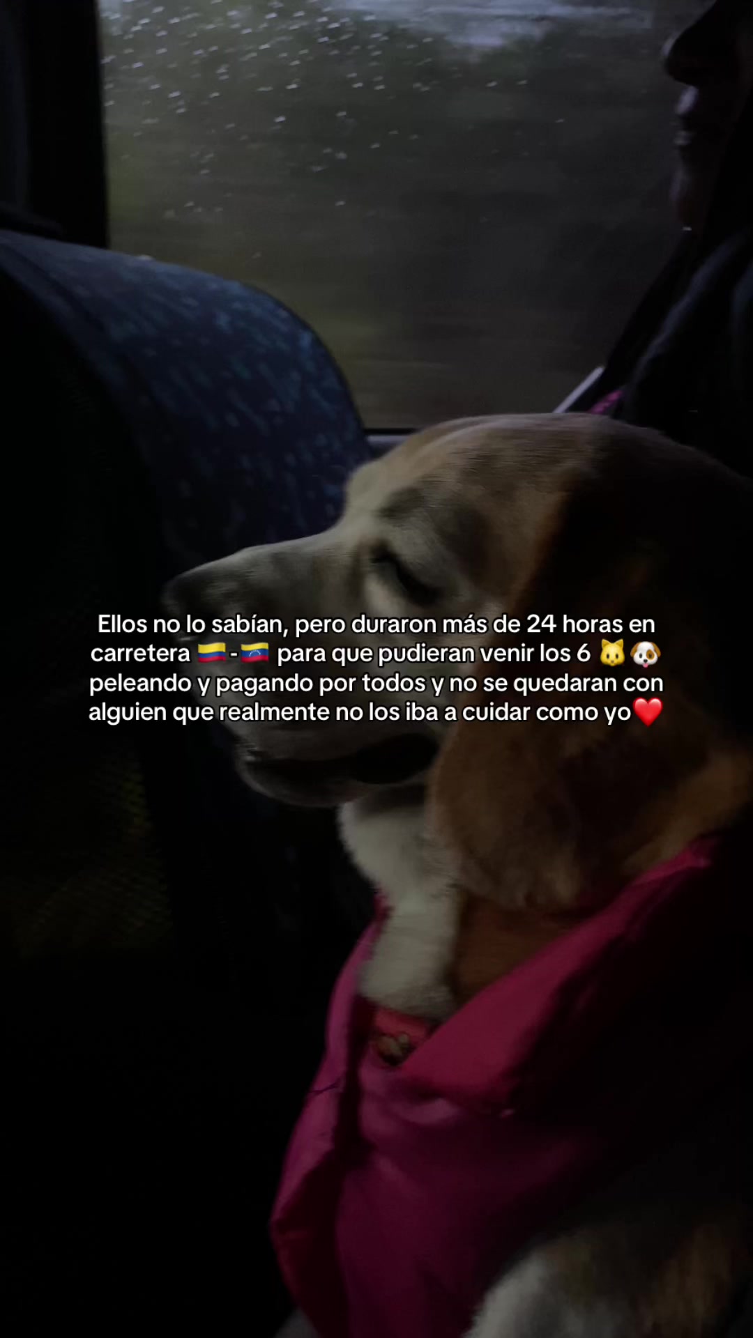 @𝓐𝓷𝓽𝓸𝓷𝓮𝓵𝓵𝓪♡