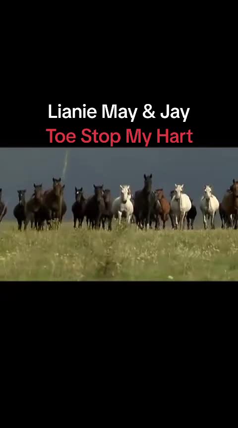 @Afrikaans classics